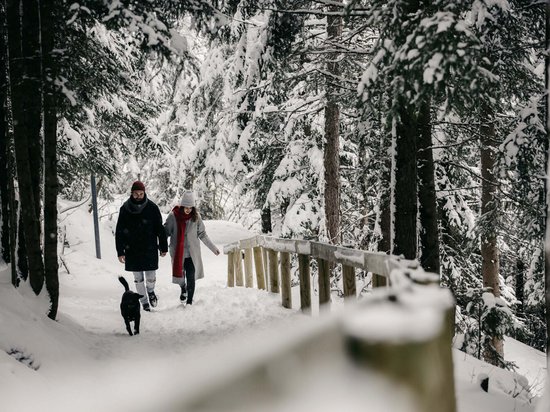 Delicious indulgence in a glass Couple walking with dog on snowy forest path in winter