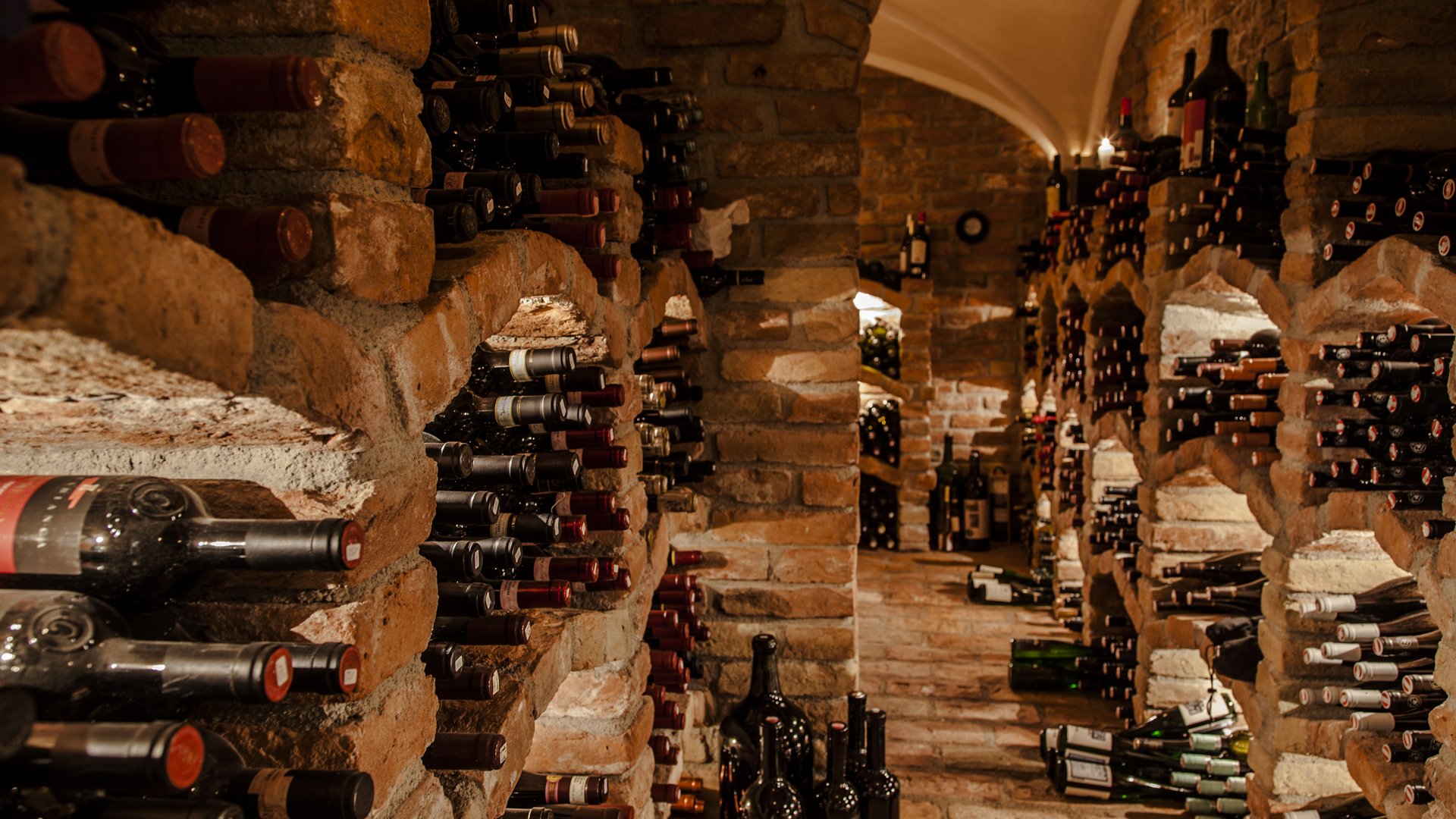 Delicious indulgence in a glass Wine cellar with many bottles stored in a brick cellar