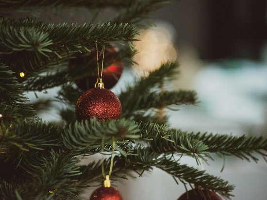 Delicious indulgence in a glass Red glitter Christmas ornament hanging on green pine branches